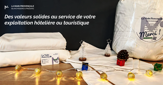 Les piliers de La Main Provençale, blanchisserie à Toulon et dans Var